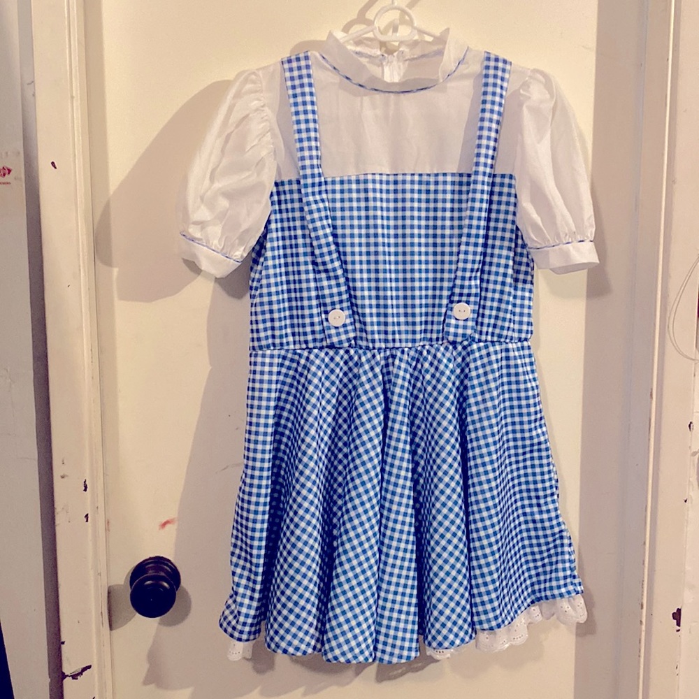 Custom Made Dorothy Wizard of Oz Halloween Costume size L/XL dress, Short Cute!